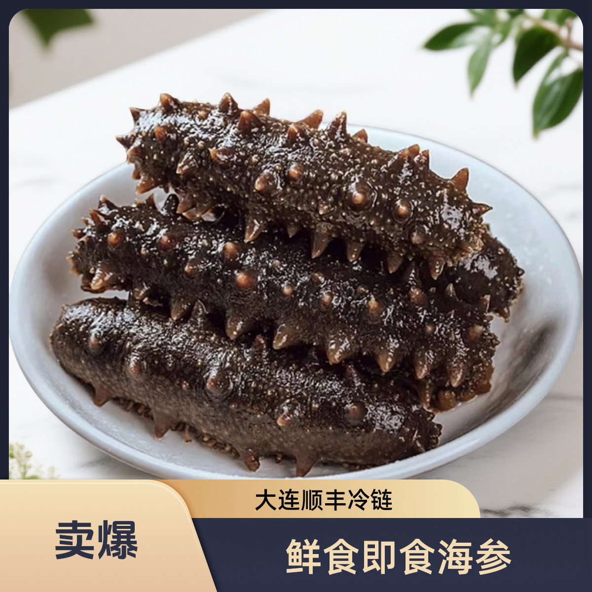 【特大买40根送10根】深海即食海参独立真空装肉质紧实营养大连工厂