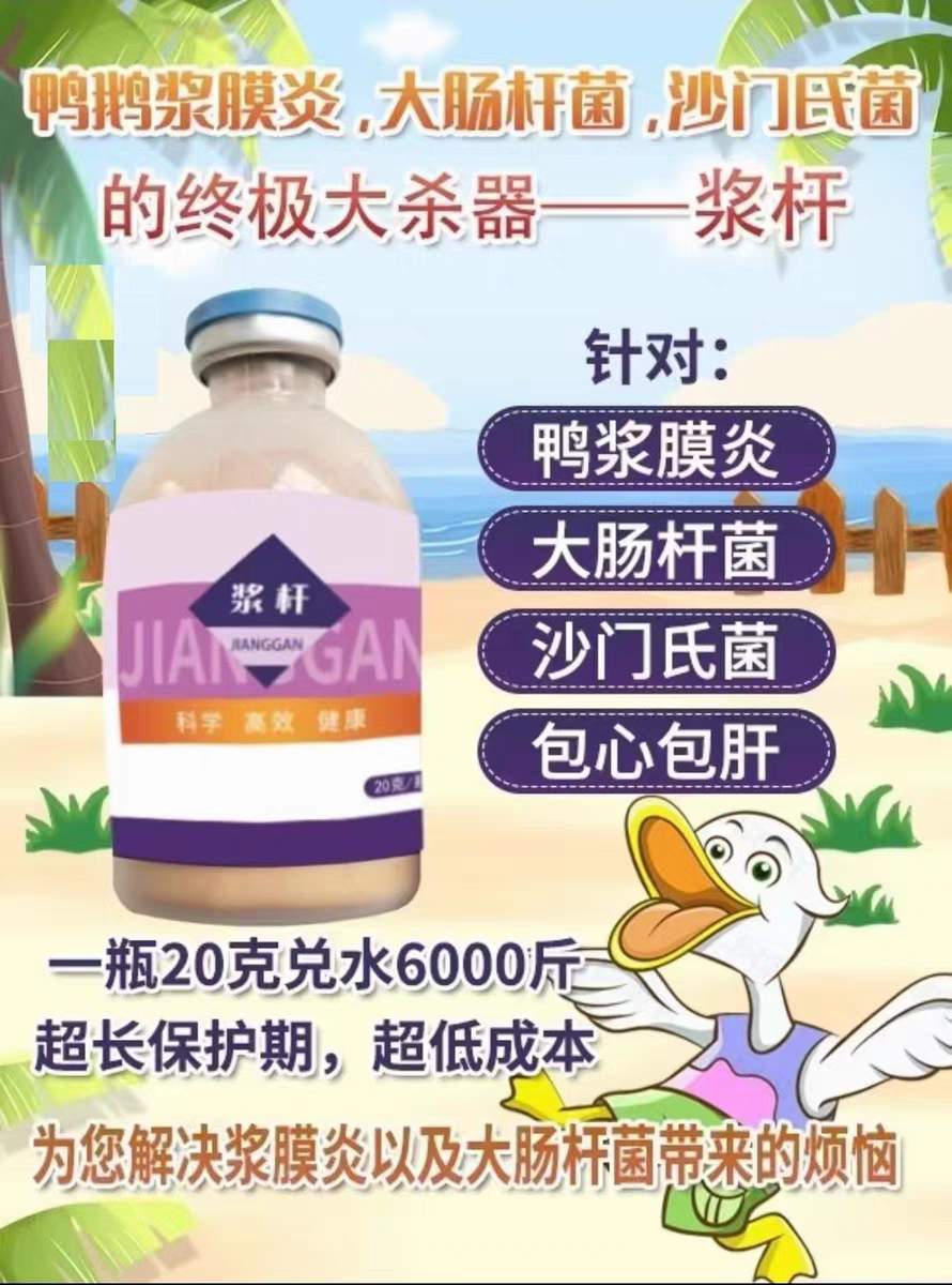 【冻干粉】浆杆针对浆膜炎大肠杆菌包心包肝国产正规厂家直发