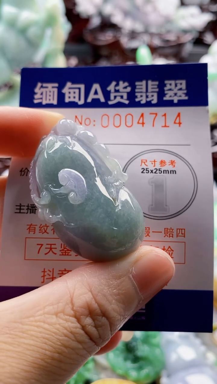 翡翠未镶嵌吊坠(不含链)1