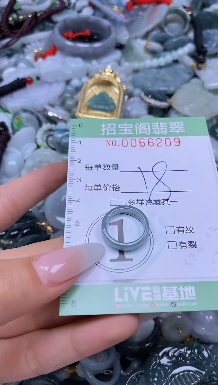 【闪购商品】翡翠颈饰未镶嵌闪购0066209