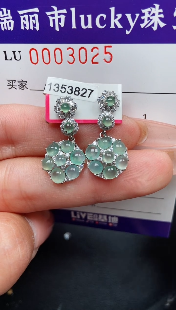 【闪购商品】翡翠颈饰银S925镶嵌3025