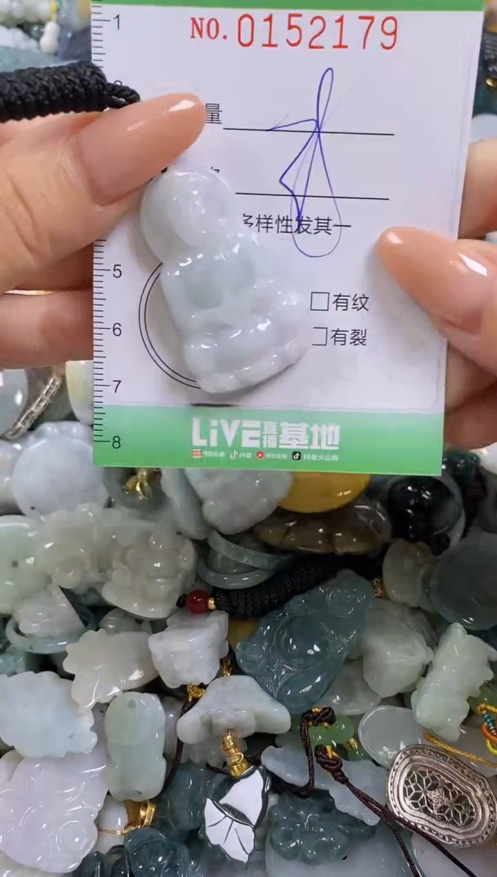 翡翠未镶嵌颈饰闪购0152179