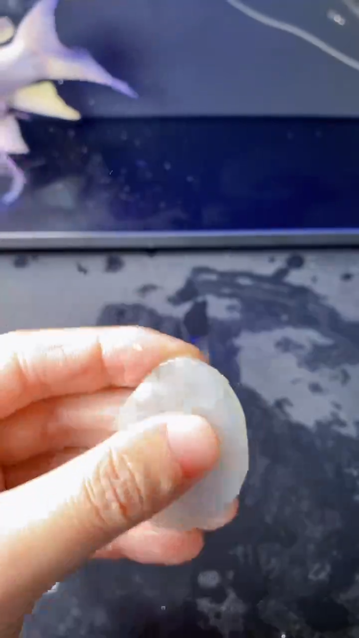 【闪购商品】翡翠颈饰未镶嵌057天然A货翡翠