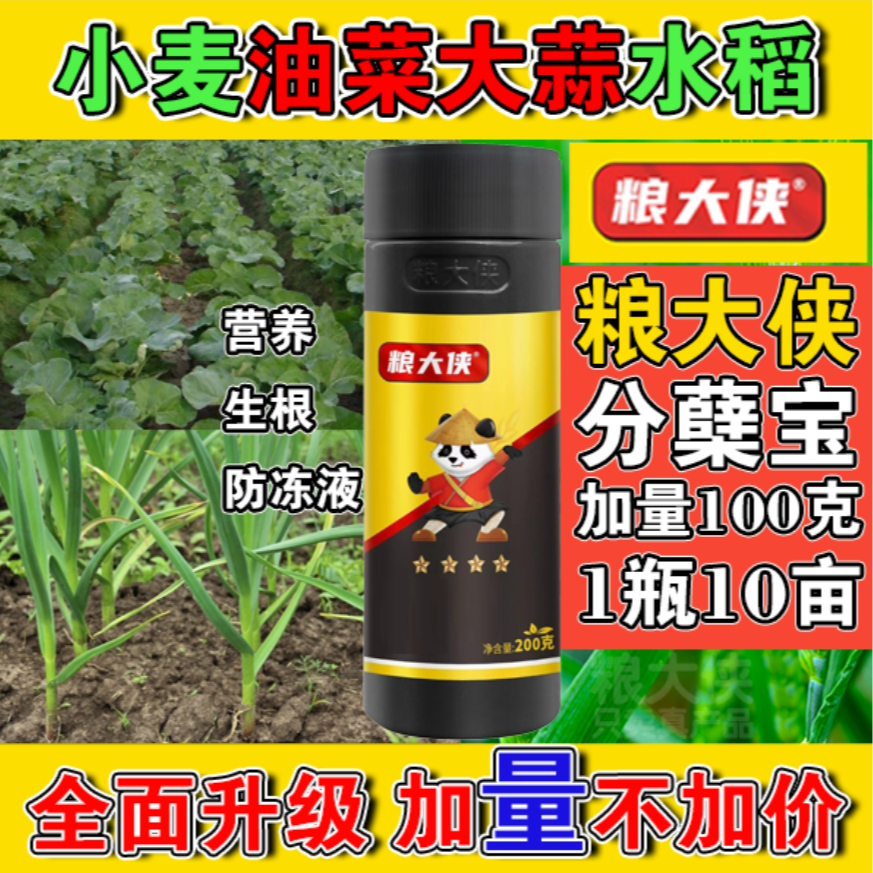 【真品热销5年】粮大侠小黑瓶分蘖宝小麦油菜大蒜防冻生根1瓶10亩 商品图