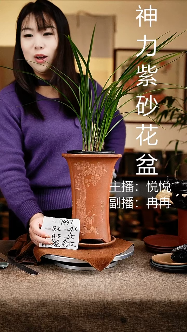 紫砂花盆花卉工艺7997+z