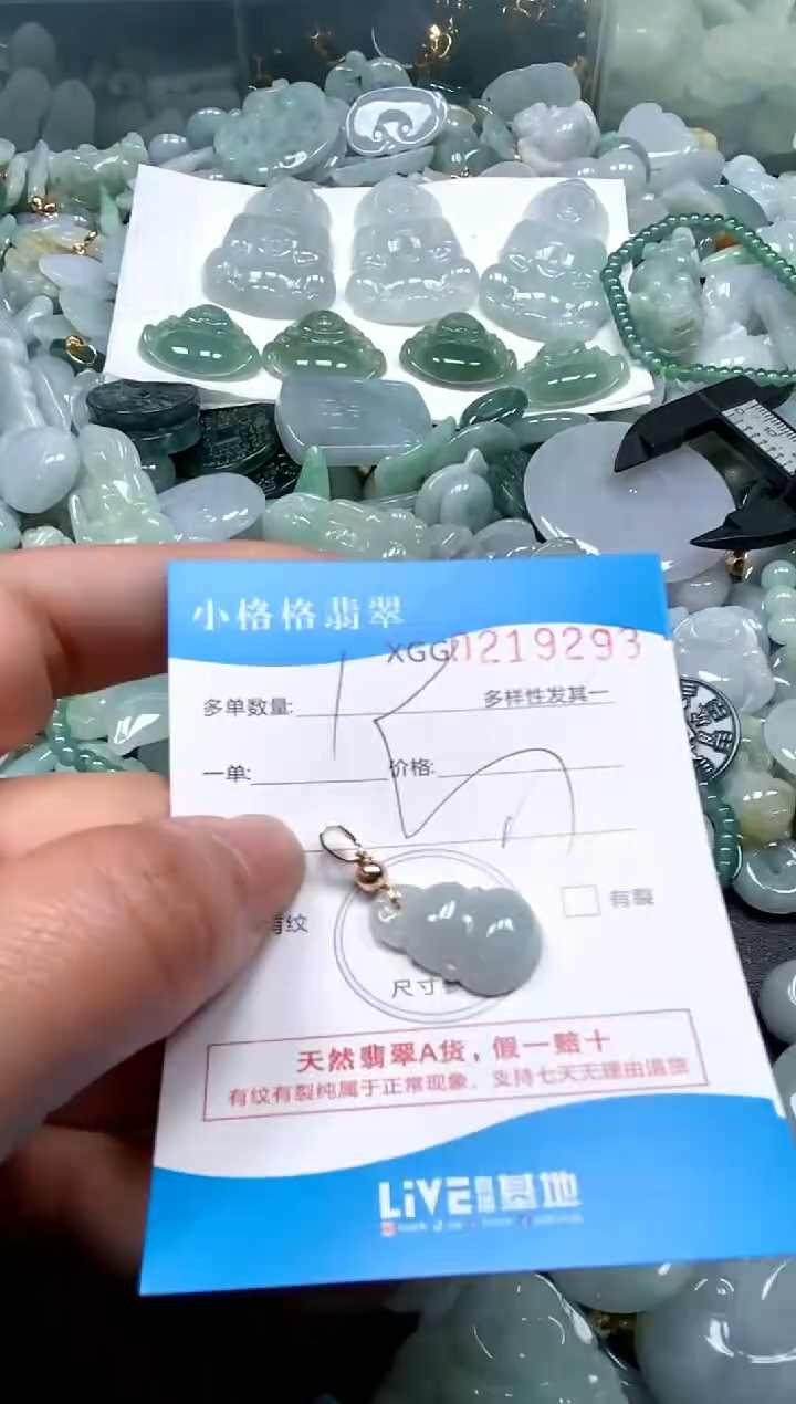 【闪购商品】翡翠颈饰未镶嵌闪购商品0219293