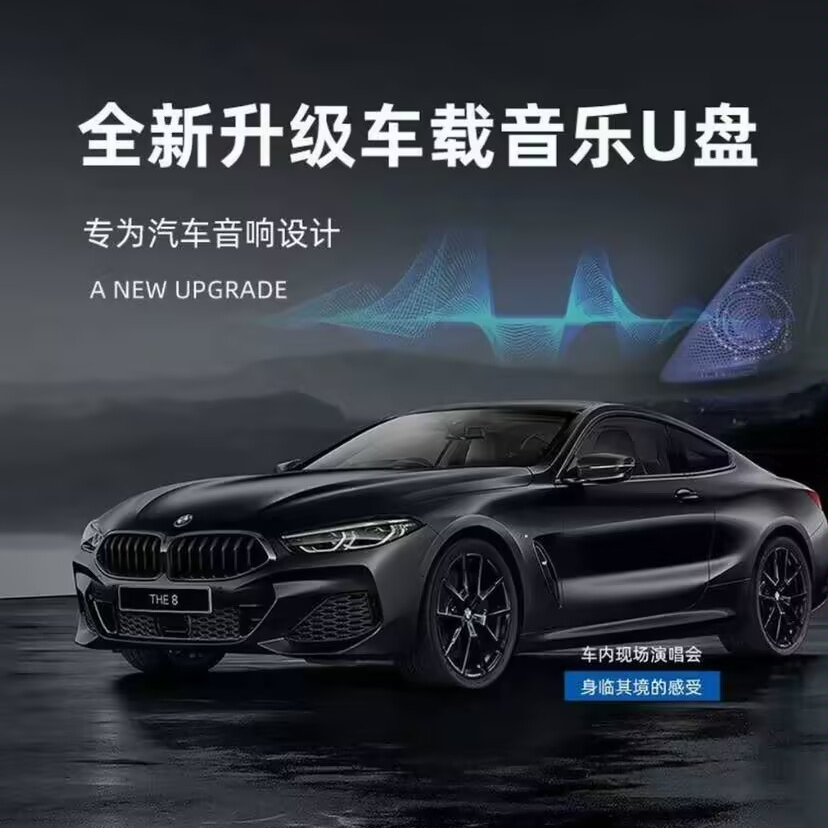 2025面升级款车载音乐usb黑胶芯片无损音质