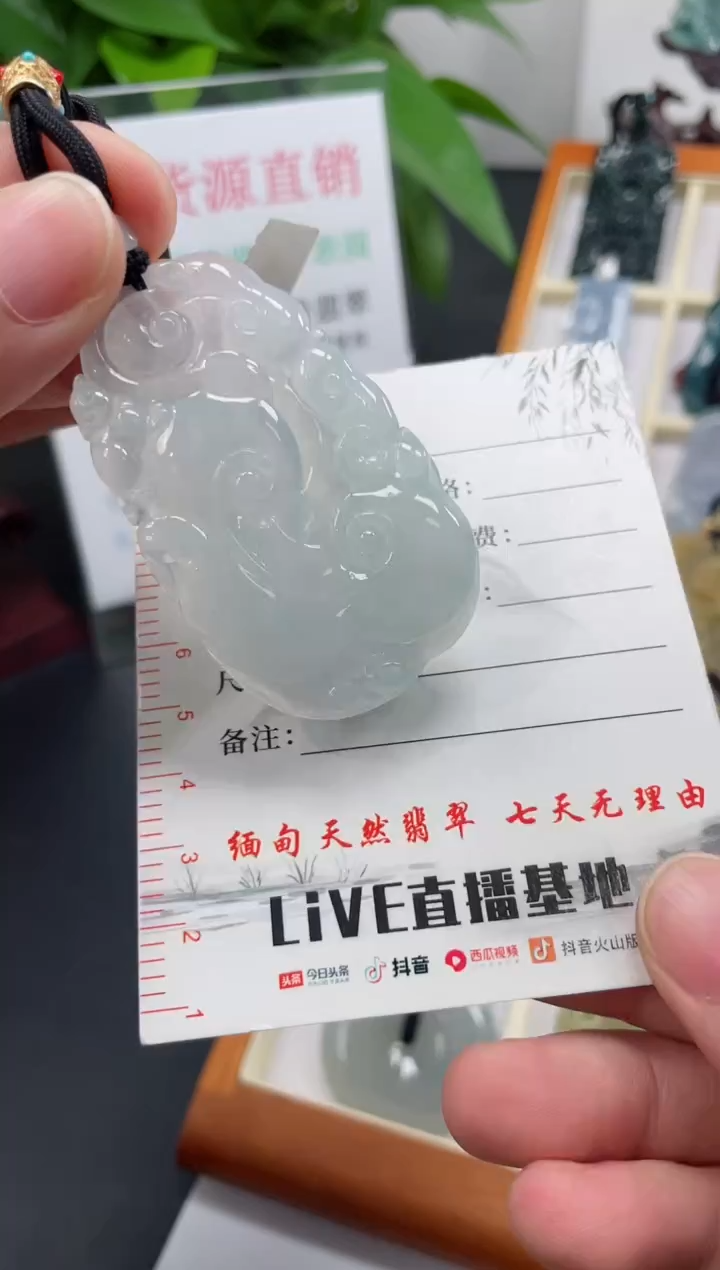 【闪购商品】翡翠颈饰未镶嵌如意