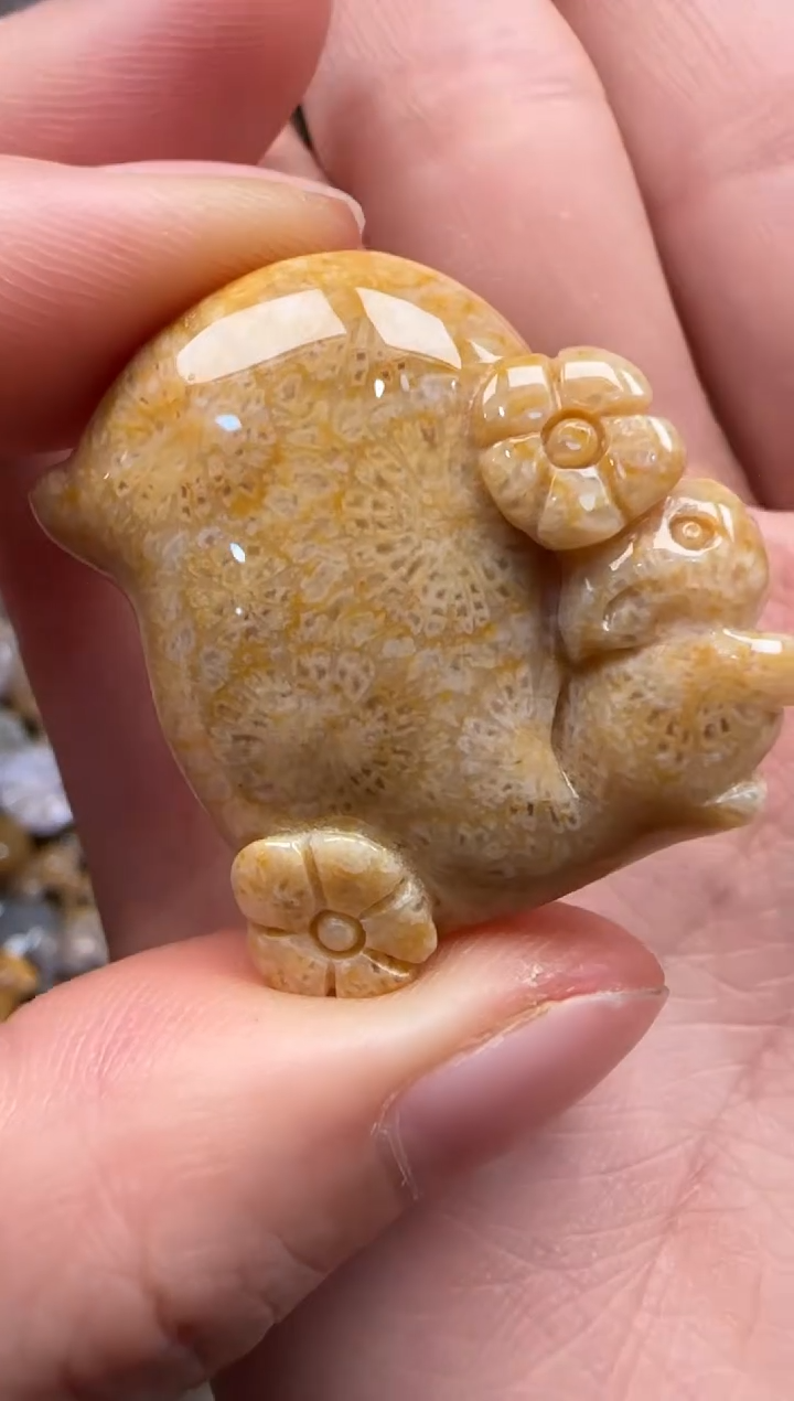 【闪购商品】硅化珊瑚（珊瑚玉）颈饰未镶嵌091