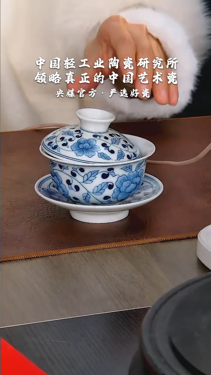 【闪购商品】瓷片陶瓷  研究所    流水15