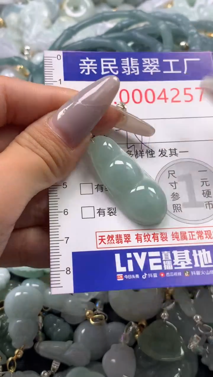 颈饰未镶嵌翡翠4257