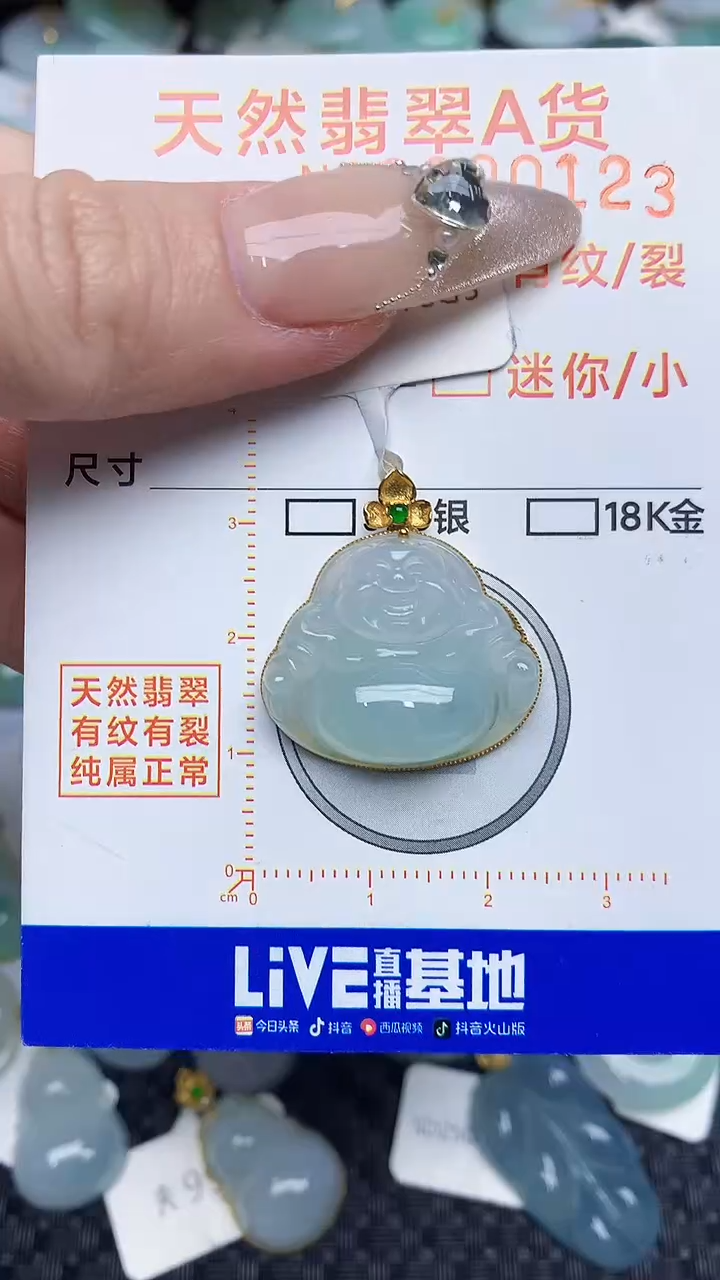 【闪购商品】翡翠颈饰18K金镶嵌876786876786