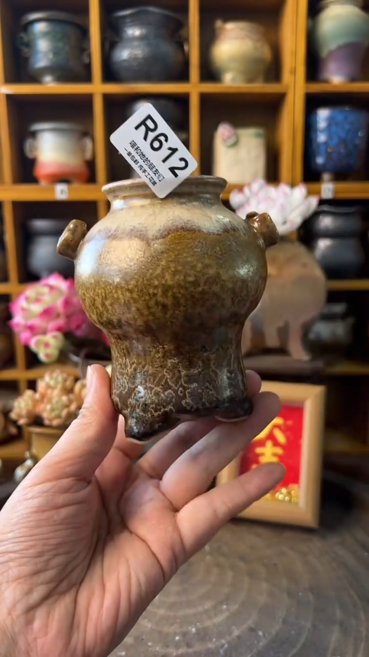 612 内口4【多肉花盆多肉盆】