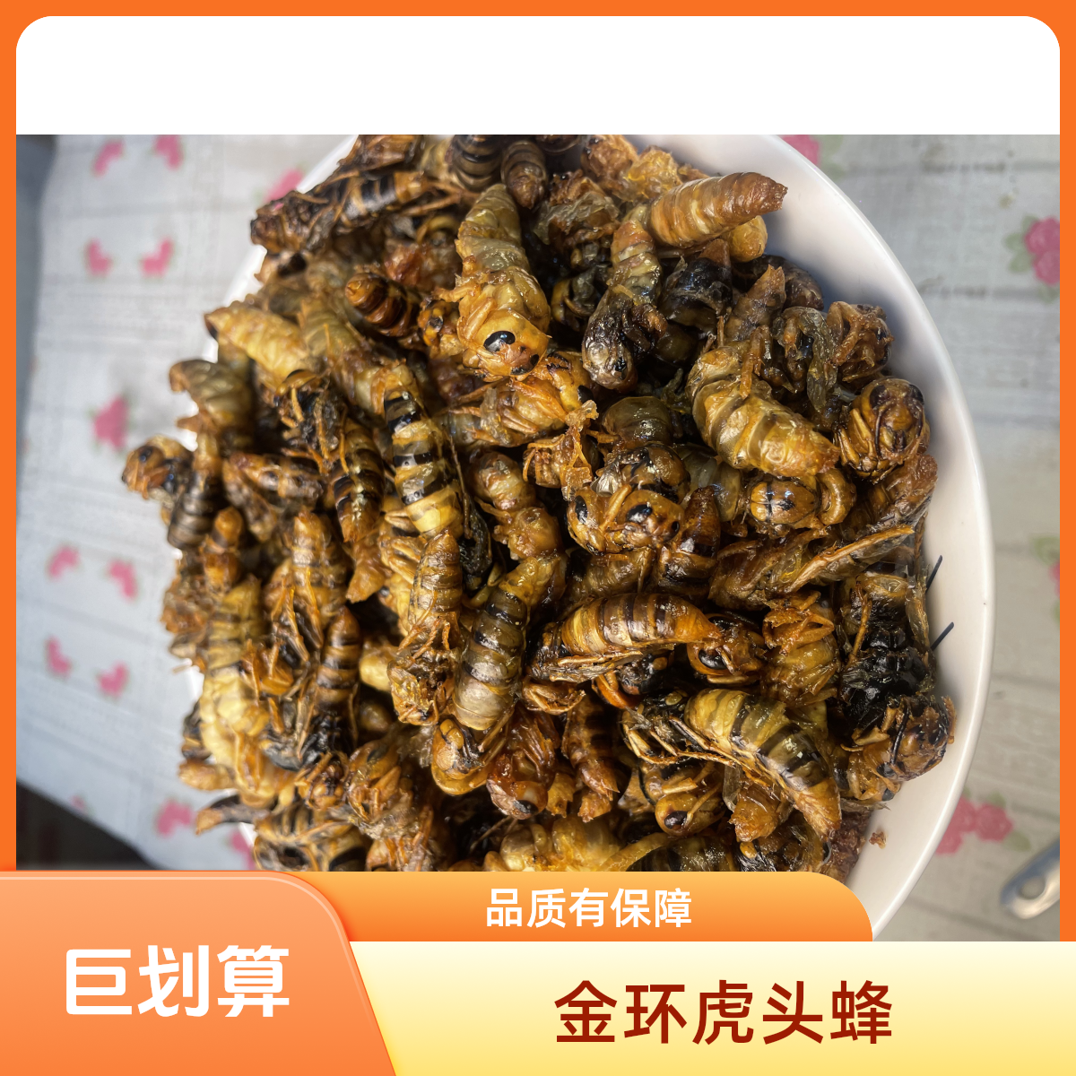 金环虎头蜂小黄  油炸蜂蛹 昆虫 地蜂 土蜂 下酒神器 顺丰