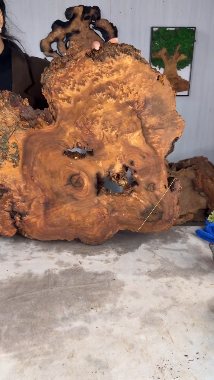 香杉木木头款杉木瘤挂件【原料】022