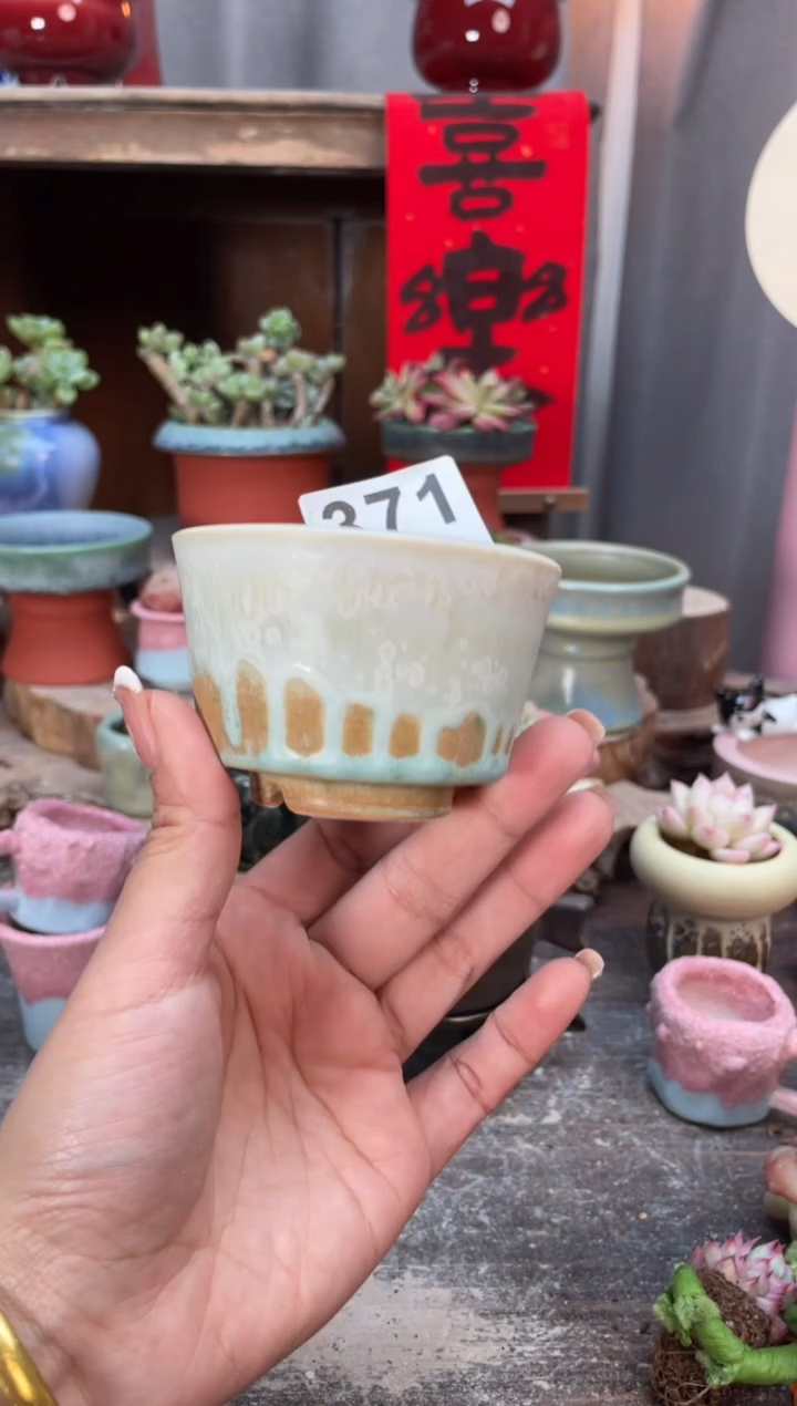 【闪购商品】摆件371知木小芳花盆编号