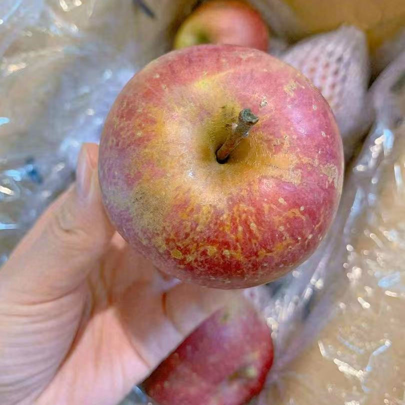 四川丑苹果 5.5-6斤四川省
