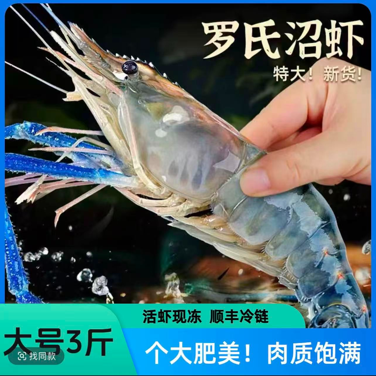 3斤大个新鲜罗氏虾 一斤10-12只左右 顺丰冷链发货