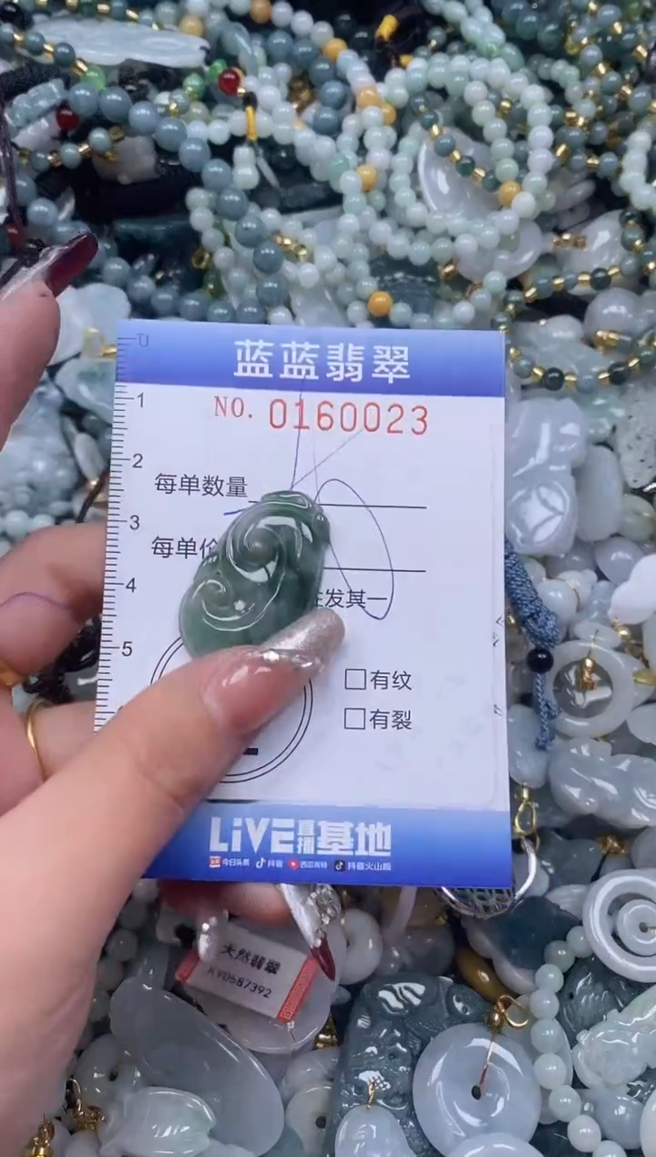 【闪购商品】翡翠颈饰未镶嵌闪购0160023多样性发其一