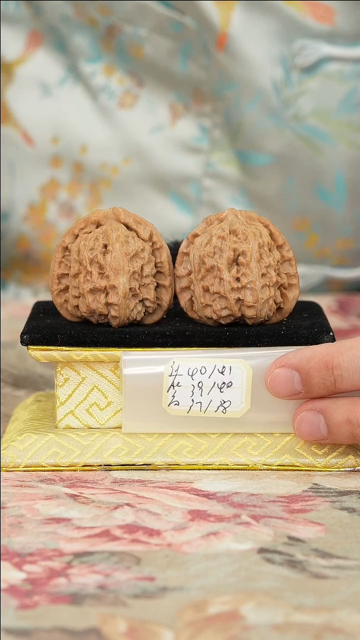 文玩核桃把件白狮子