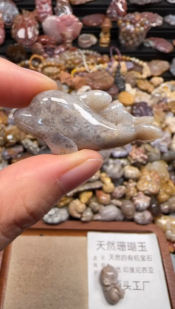 【闪购商品】硅化珊瑚（珊瑚玉）颈饰未镶嵌699