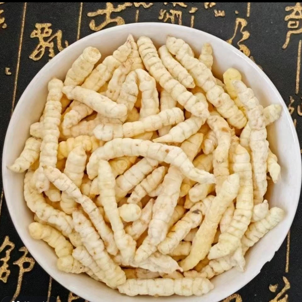高山特产缅缅雪山白虫草 500克 阿信专属