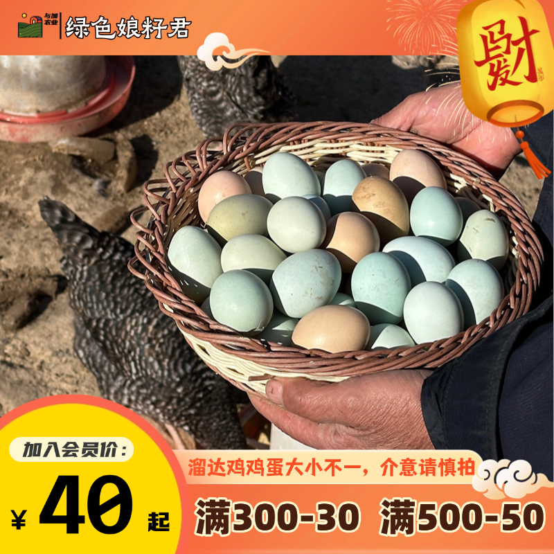 【农家溜达鸡、走地鸡】鸡蛋10-30枚
