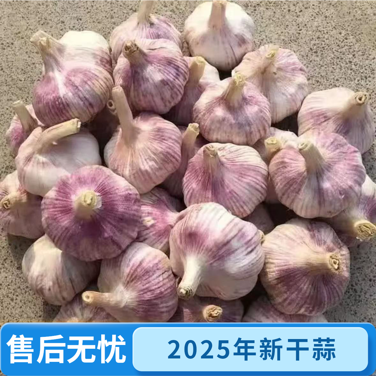 新干蒜紫皮大蒜新鲜紫白皮蒜可种农家自种大蒜可腌干大蒜头蒜z