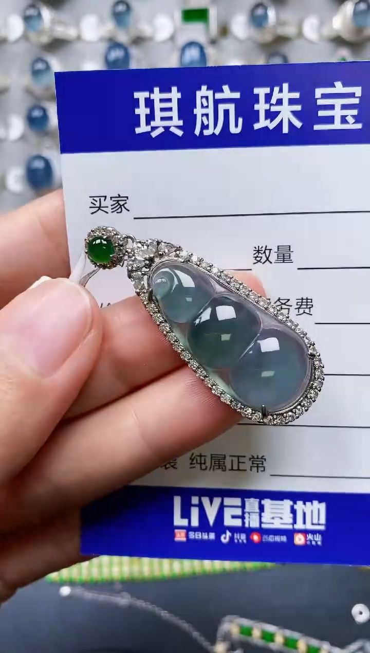 【闪购商品】翡翠颈饰银S925镶嵌0088