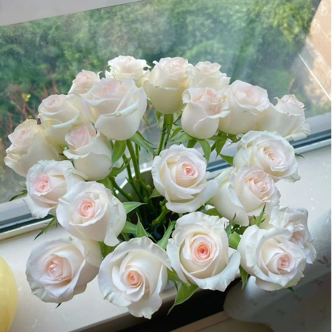 【小白兔单头玫瑰】全场一单顺丰/德邦/两单加保鲜剂和配草