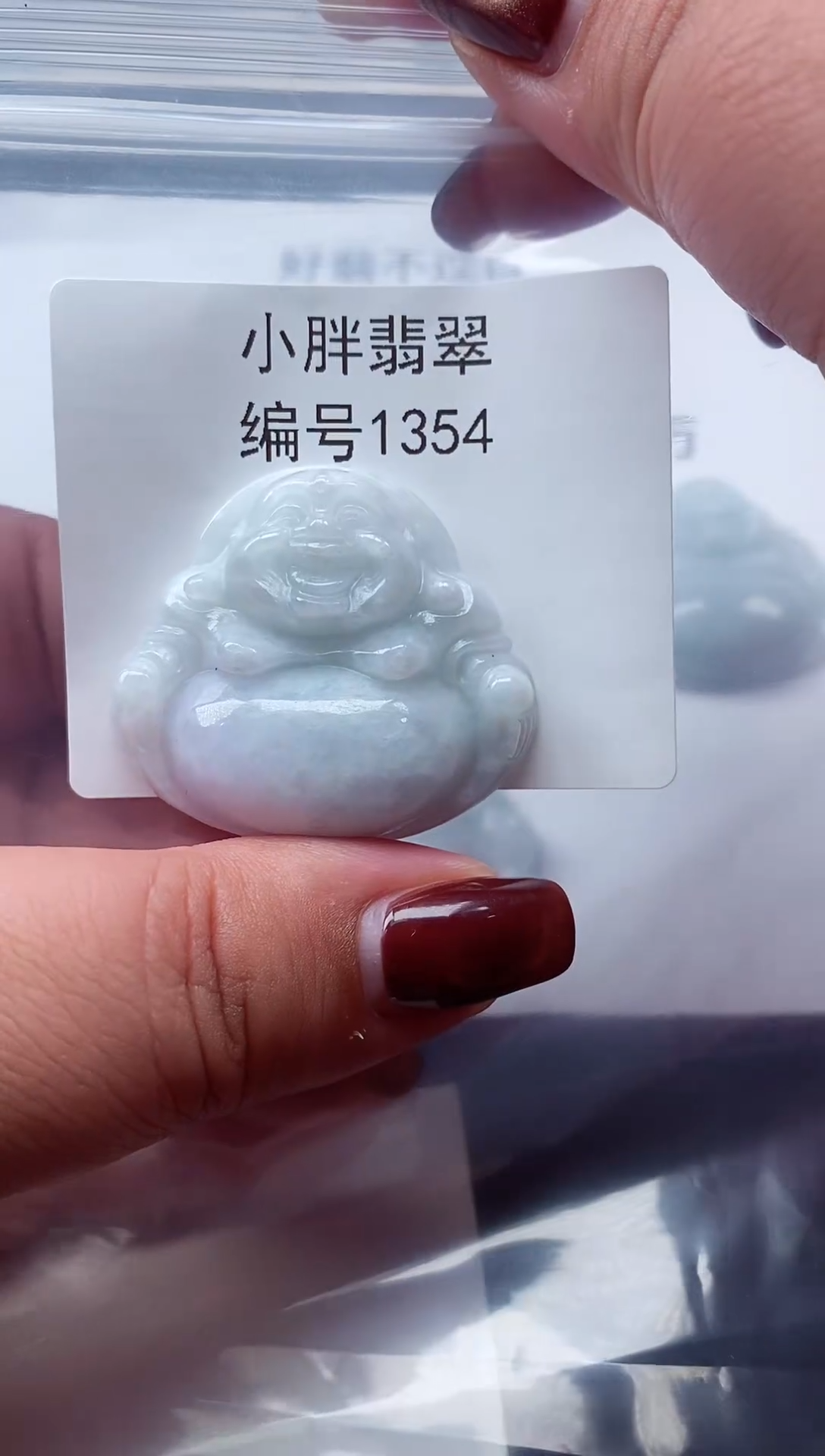 颈饰未镶嵌翡翠缅甸天然A货翡翠1354