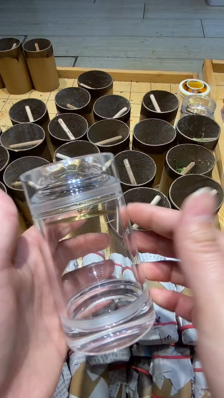 厚**物爬虫蝈蝈爬虫蝈蝈