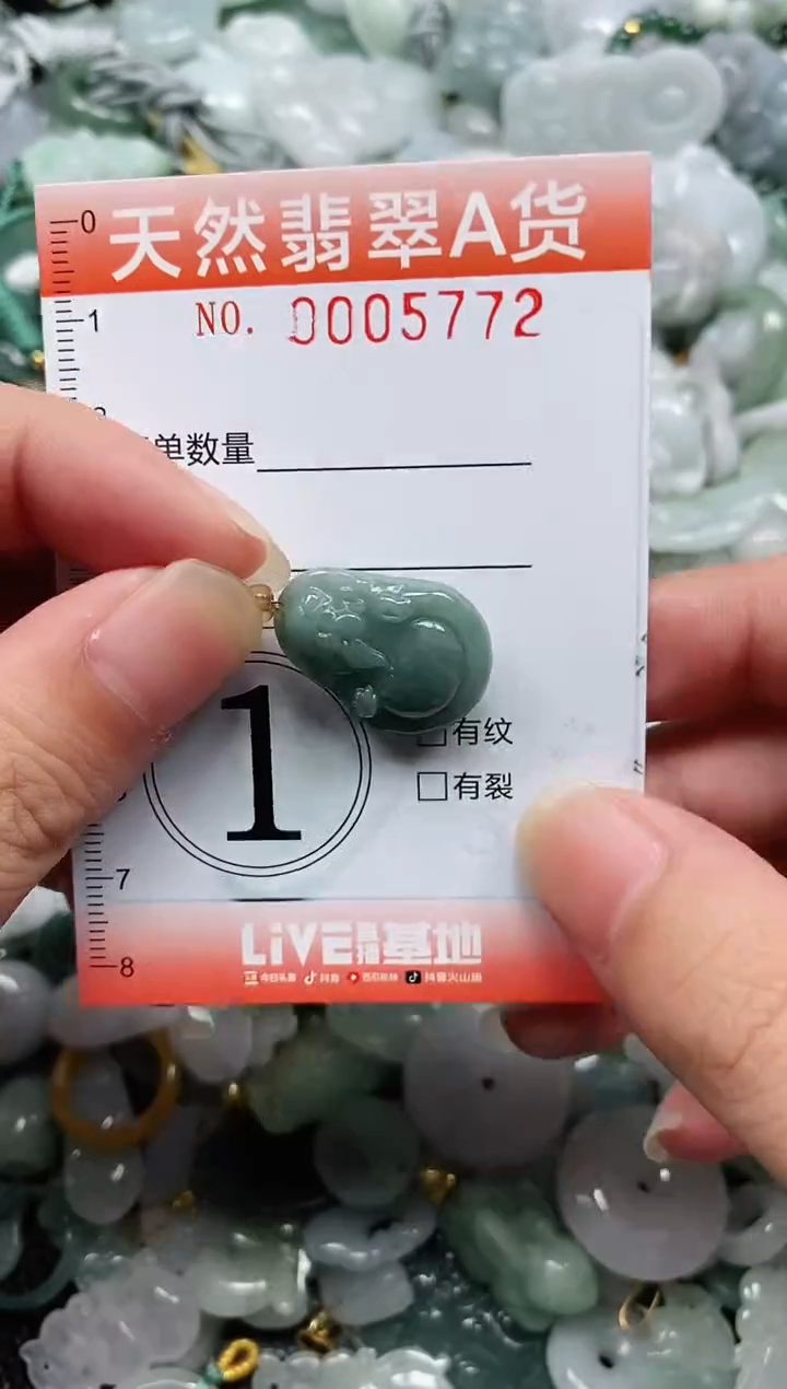 翡翠未镶嵌颈饰闪购0005772