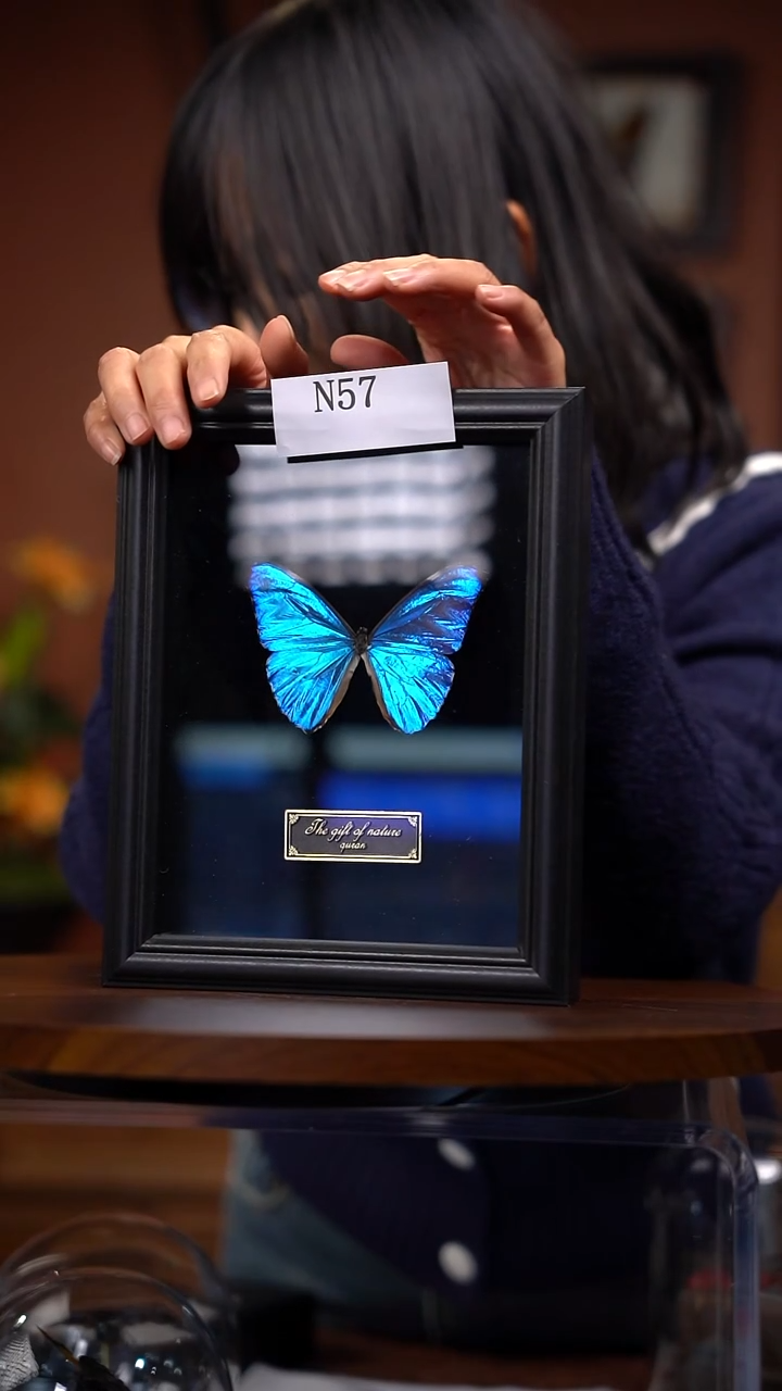 N57 西风闪蝶 一图一物