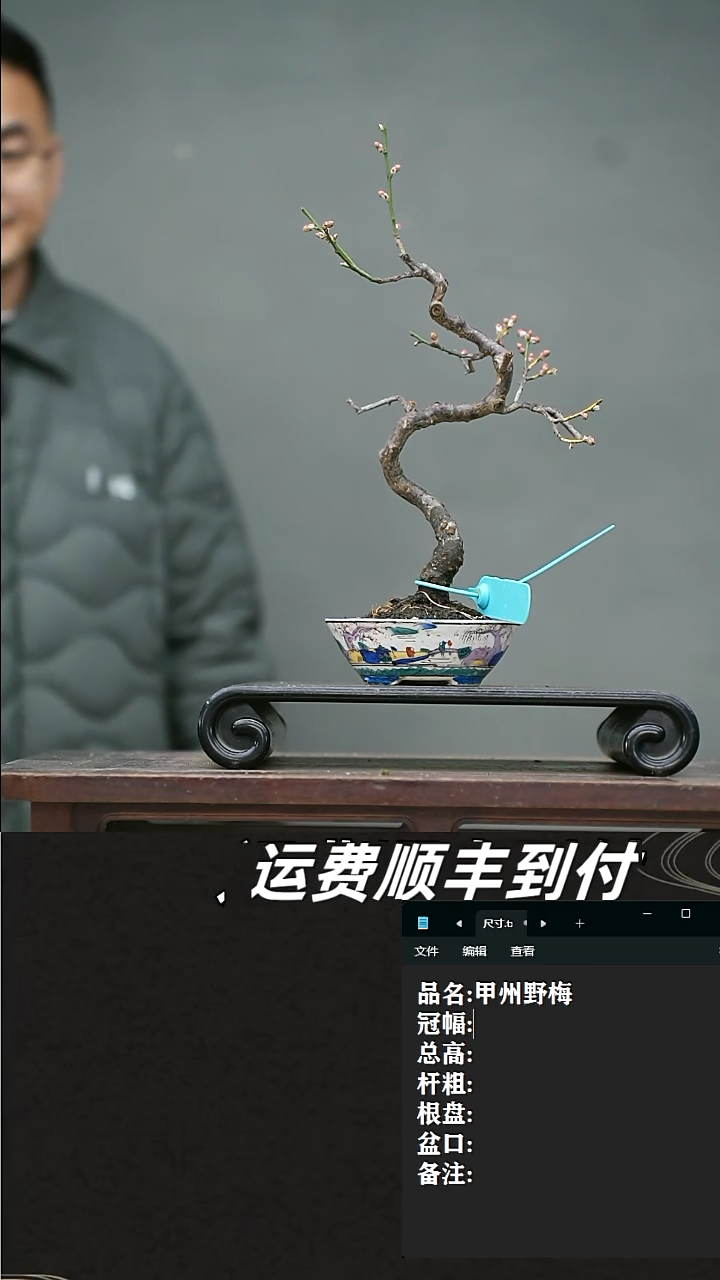 【闪购商品】9 甲州野梅