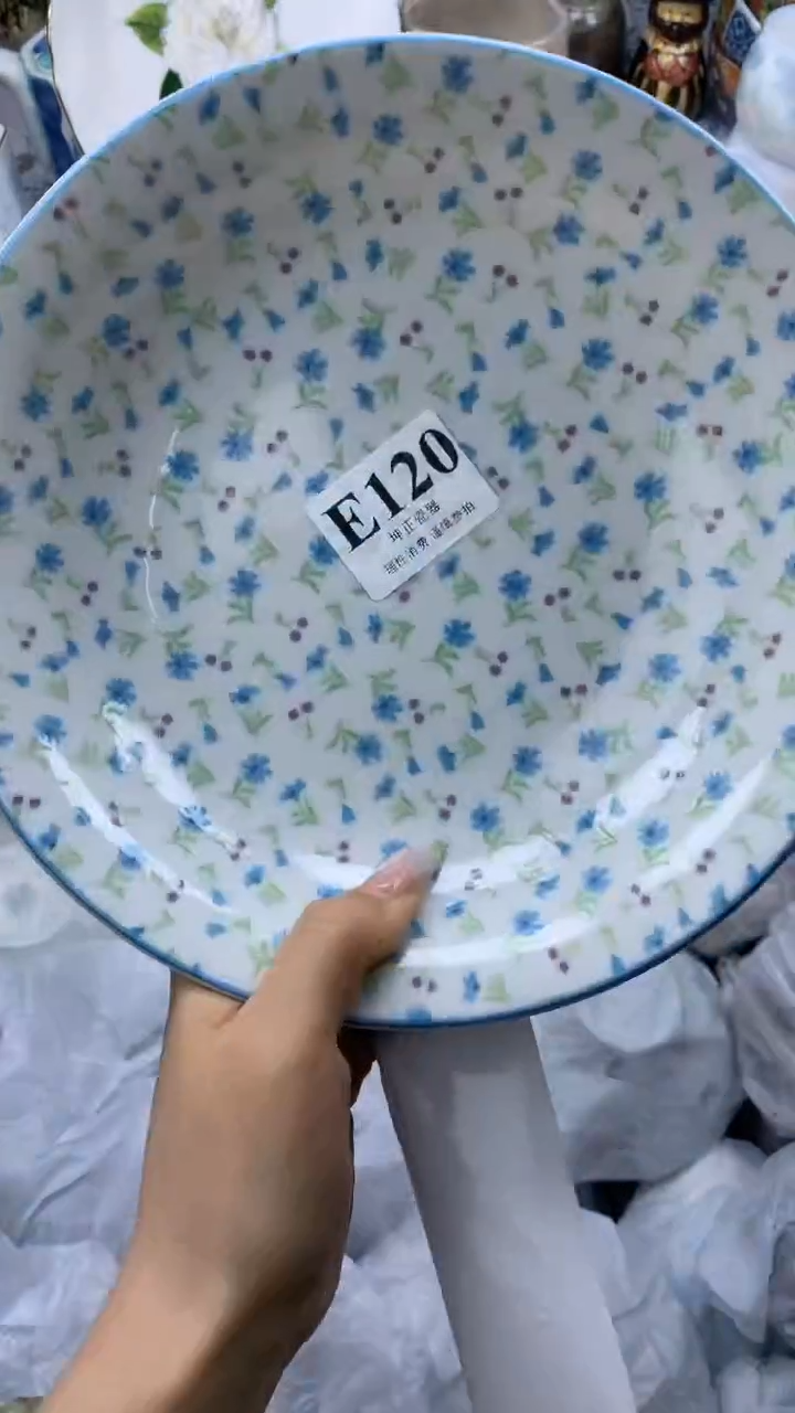 瓷片          E120