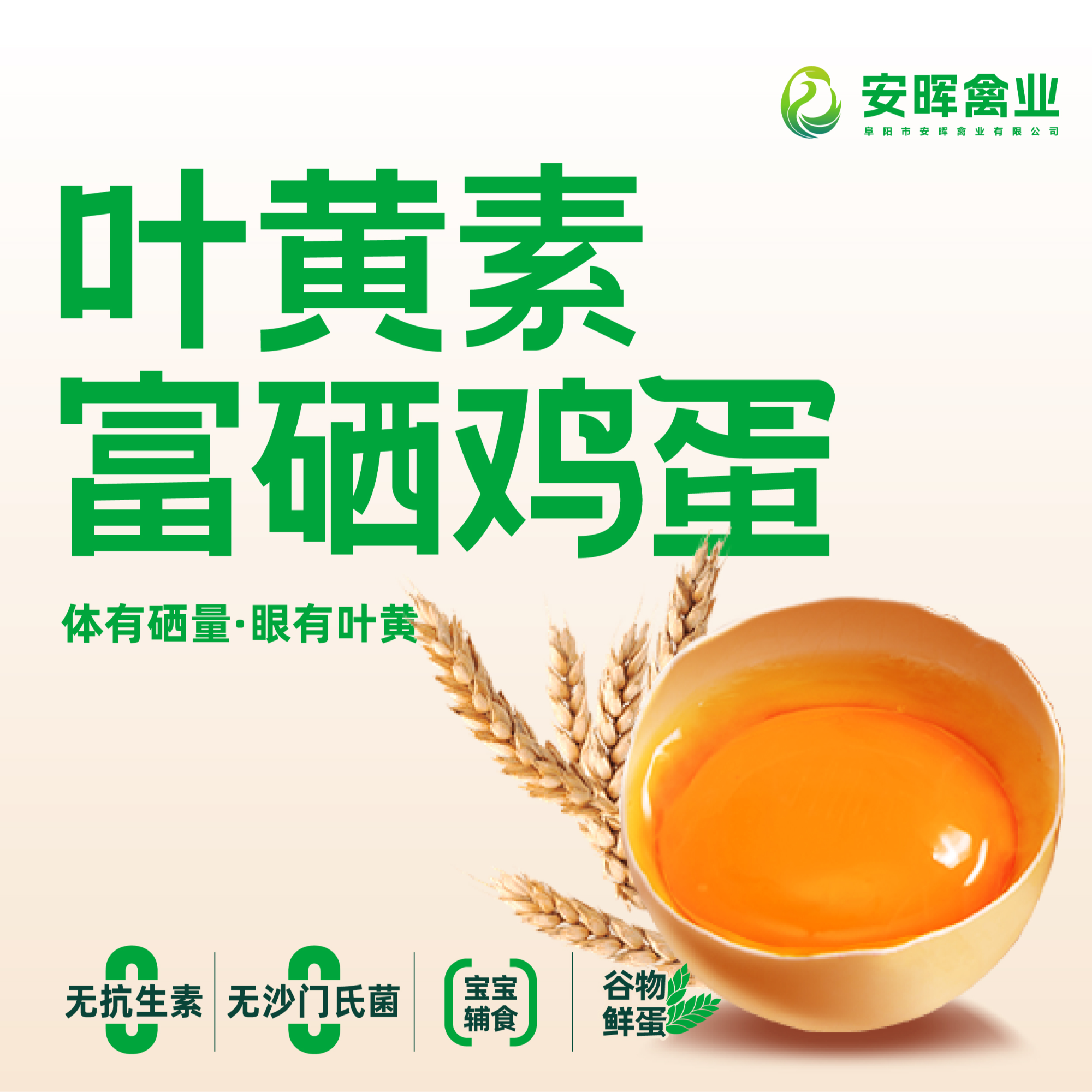 安晖叶黄素富硒蛋【宇树甄选】全国名特优新无抗无菌鲜鸡蛋可生食