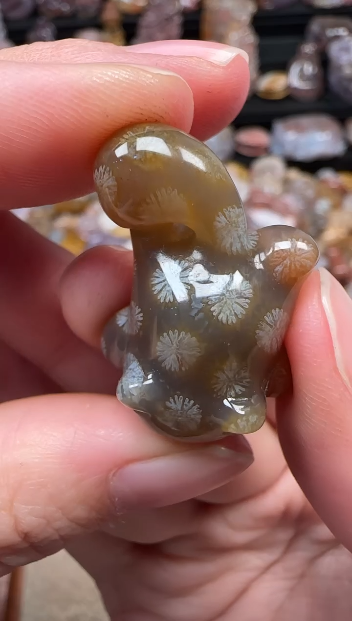 颈饰未镶嵌硅化珊瑚（珊瑚玉）401