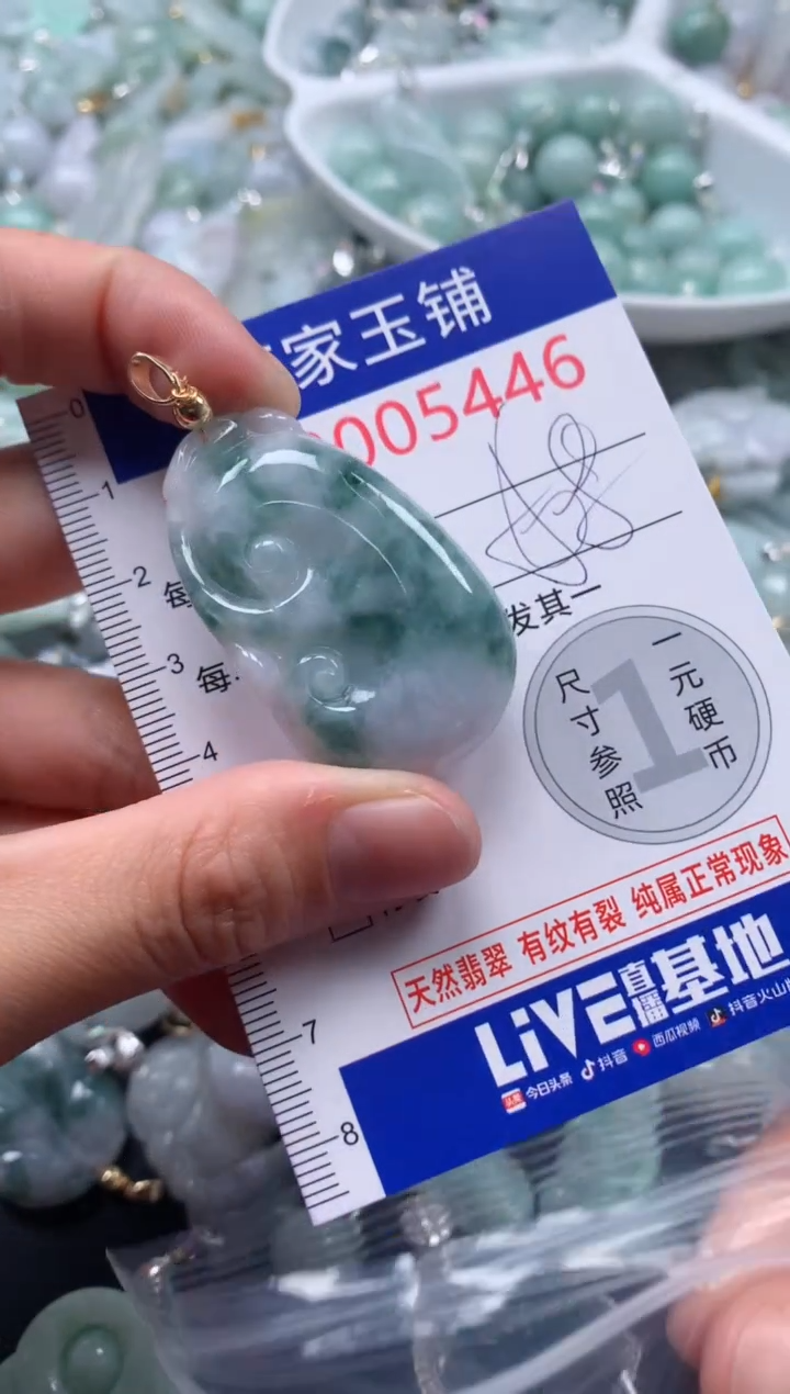 颈饰未镶嵌翡翠5446