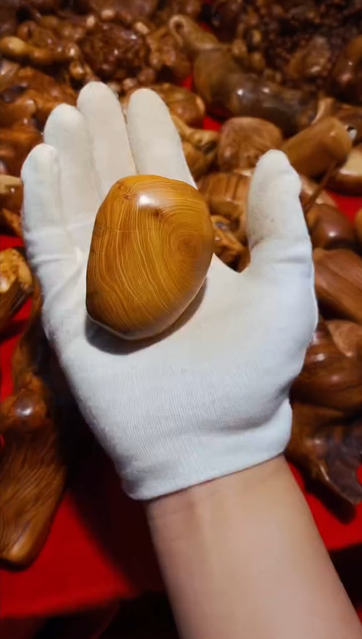 【闪购商品】柏木6崖柏崖柏崖柏