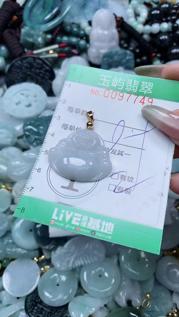 【闪购商品】翡翠未镶嵌颈饰闪购0097749