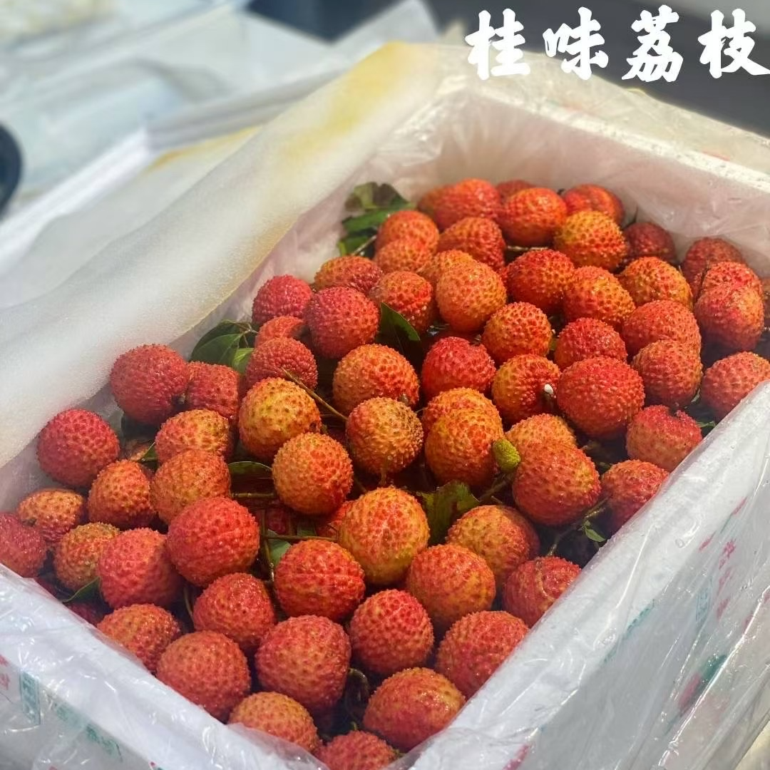 桂味荔枝 35/2斤荔枝同城送海南省