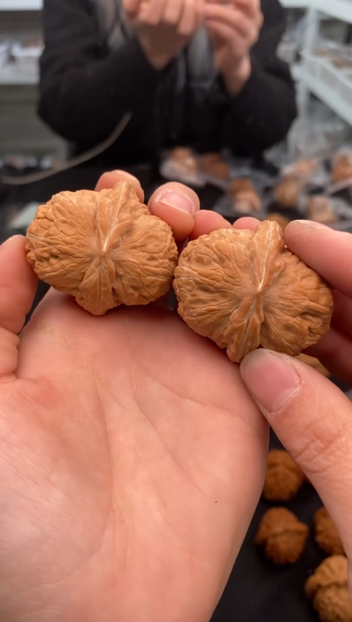 【闪购商品】文玩核桃把件元宝40-u429