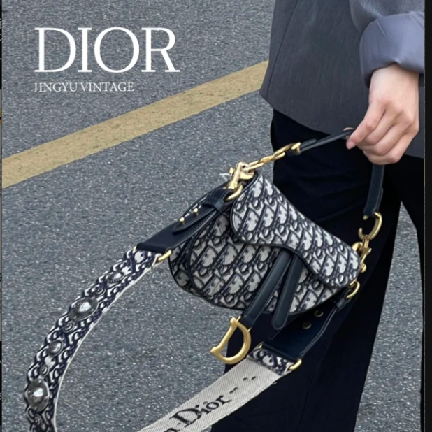 95新 DIOR/迪奥 【小花念念】马鞍包 中号 配肩带 墨蓝色 帆布 金扣