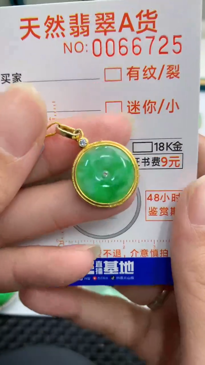 【闪购商品】翡翠颈饰银S925镶嵌            8