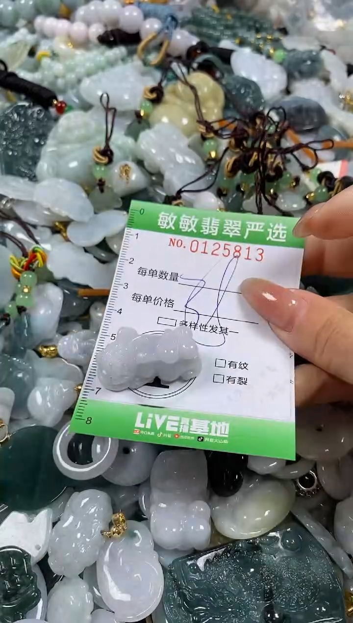 【闪购商品】翡翠颈饰未镶嵌闪购0125813多样性发其一