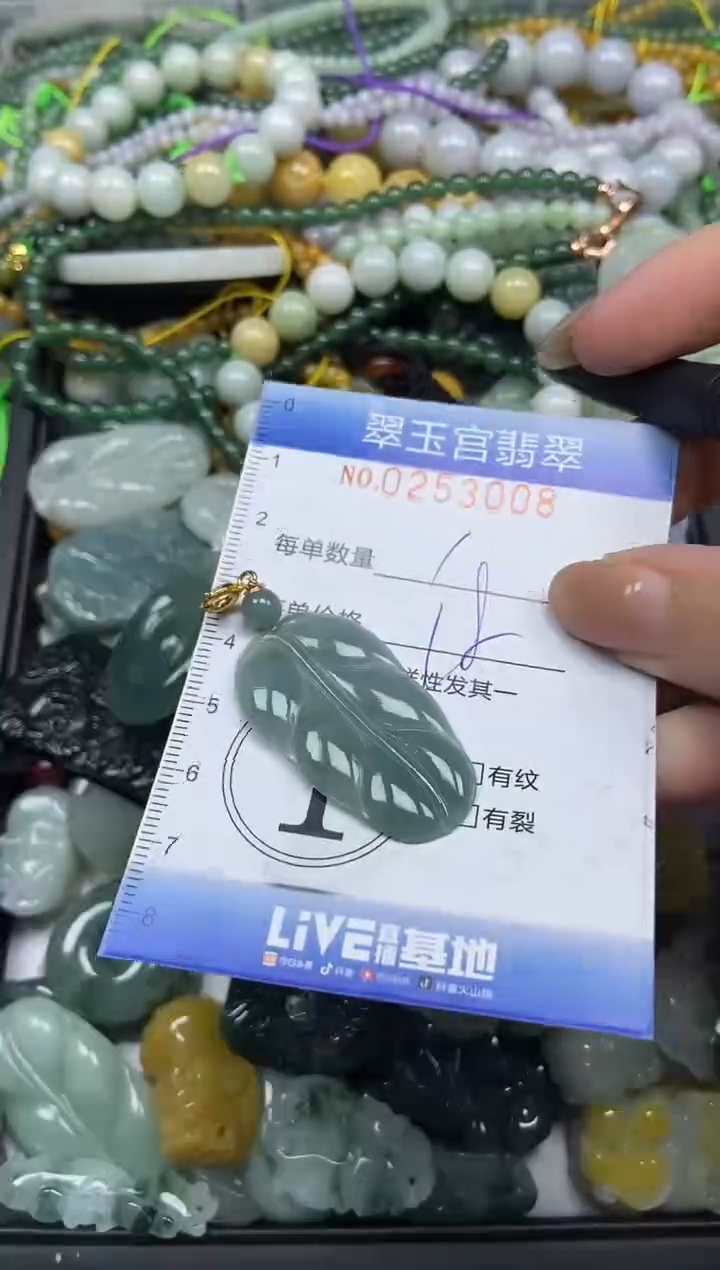 颈饰未镶嵌翡翠闪购C0253008