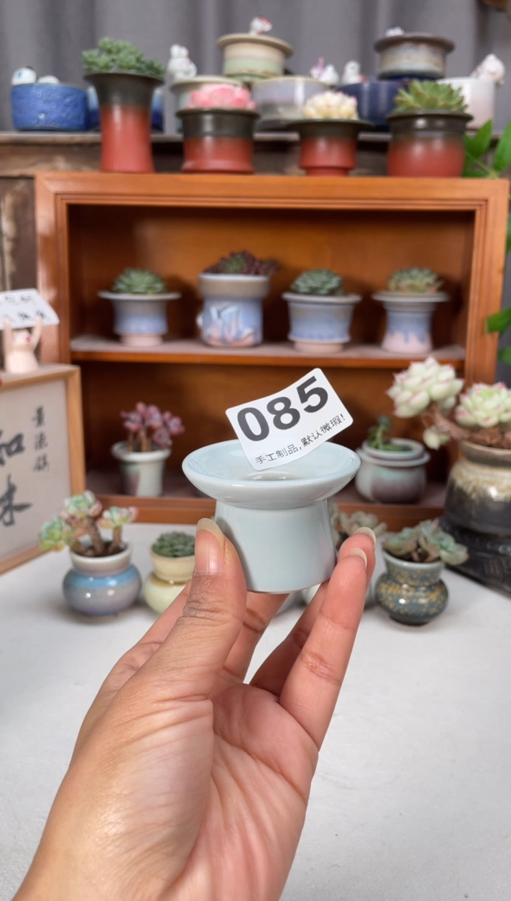 瓷片085知木小芳花盆