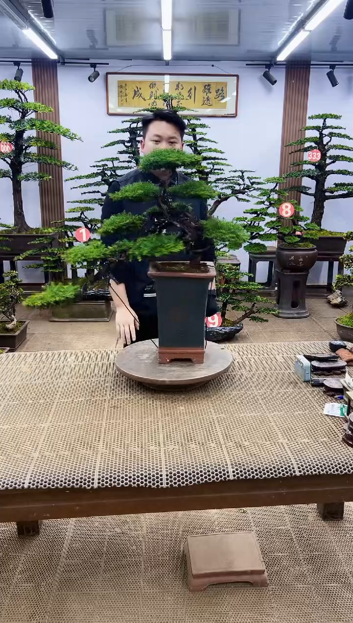 【闪购商品】0000000000