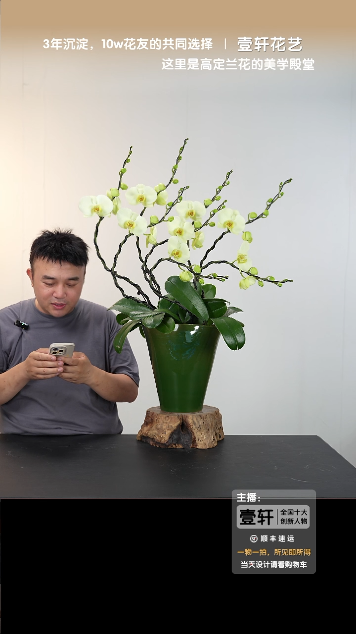 007号链接【一物一拍】艺术盆景